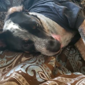 Meet your Posher, Christy